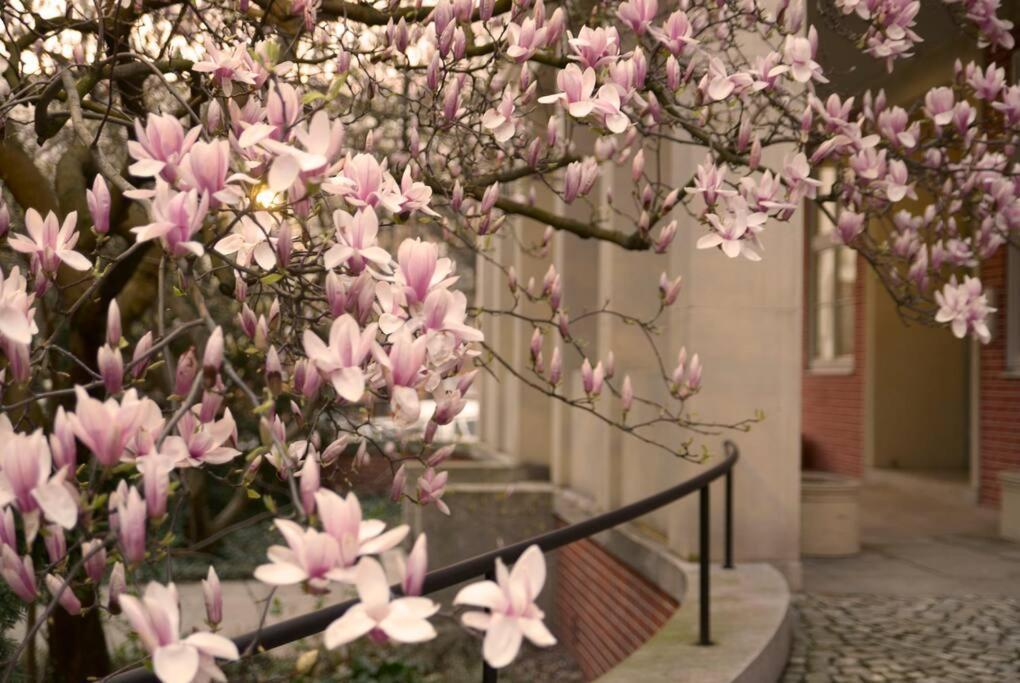 Elegant Apartment In The City Center Breslavia Exterior foto